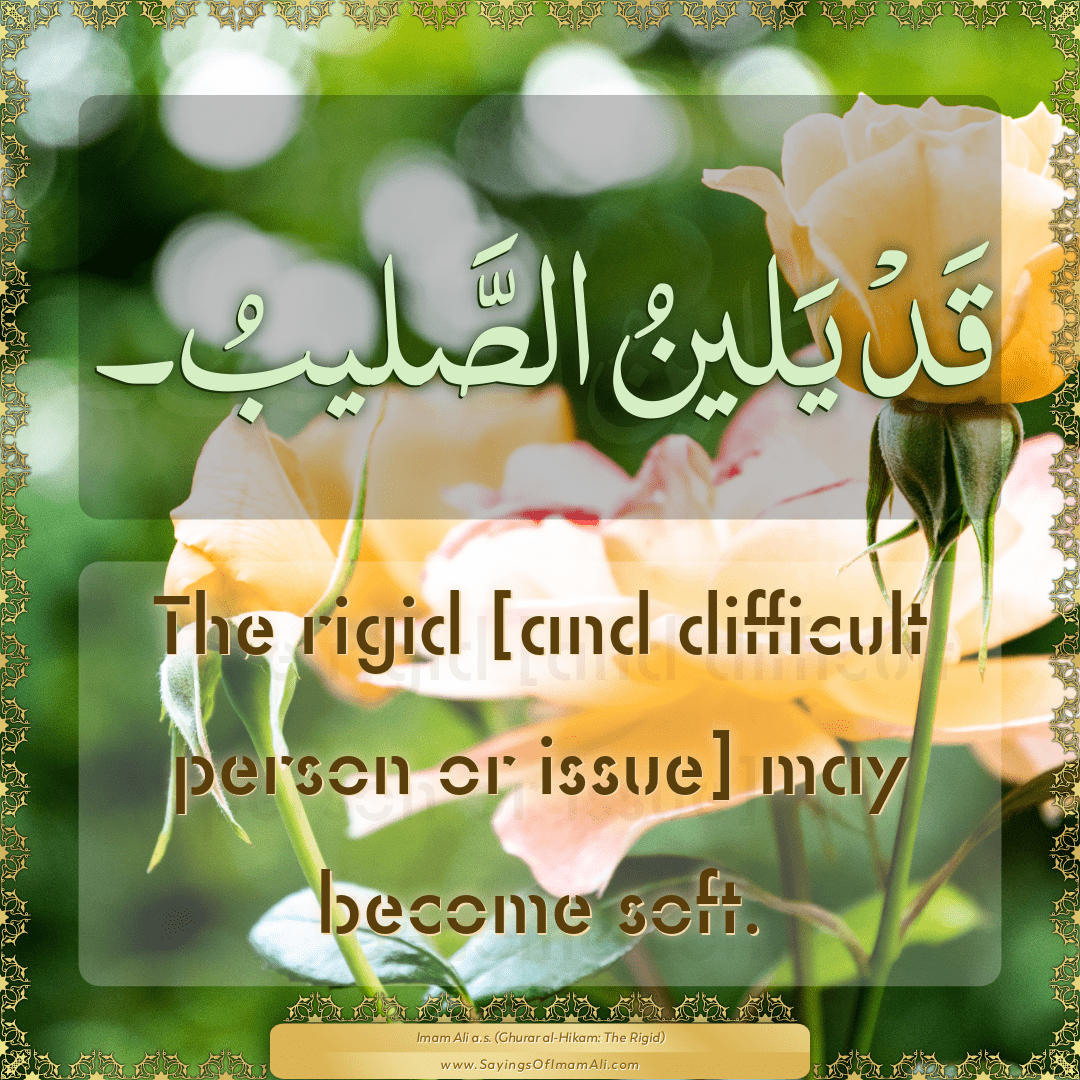 The rigid [and difficult person or issue] may become soft.